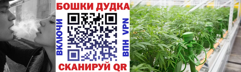 купить наркотики цена  Бакал  МАРИХУАНА VHQ 